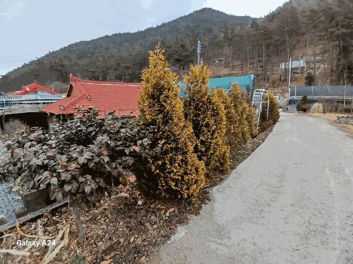 2025타경400 법원경매 사진9 | 전남 화순군 주택건물 경매
