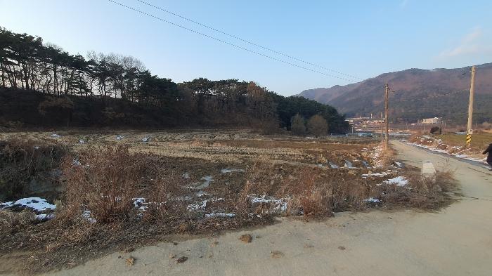 광주광역시 북구 충효동 294 법원경매 물건 대표사진