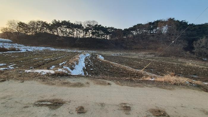 법원경매 2025타경30258 사진2 | 광주 북구 충효동 294 전답 경매