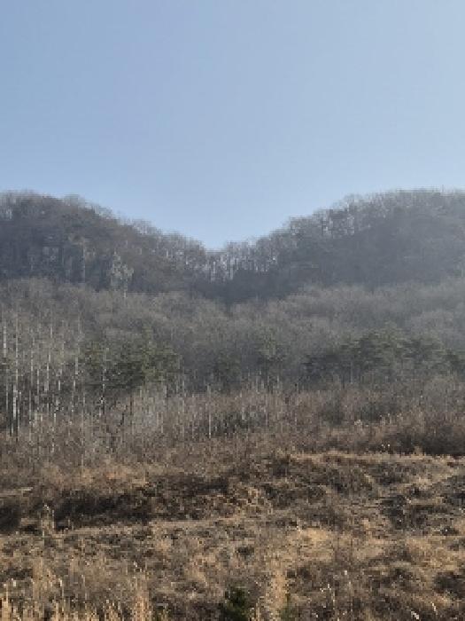 2025타경30470 법원경매 사진6 | 전남 화순군 과수원 경매