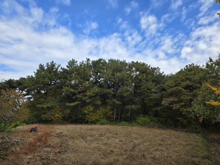 2024타경27262 법원경매 사진2 | 전북 익산시 임야 경매