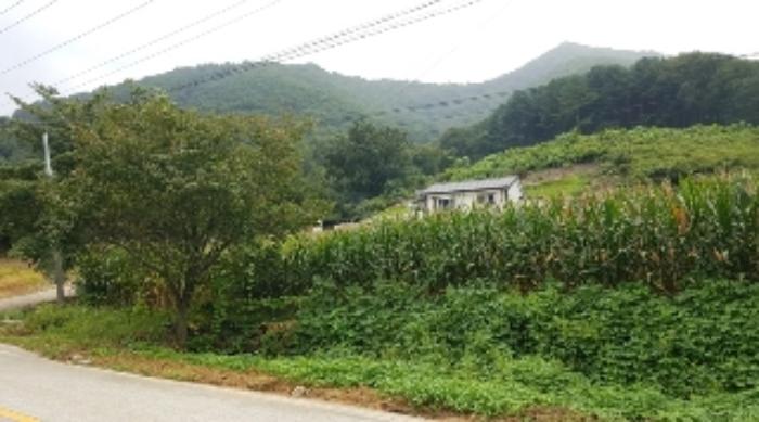 강원특별자치도 화천군 상서면 다목리 17-14 법원경매 물건 대표사진