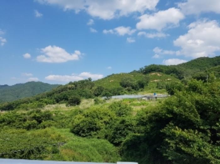 법원경매 2024타경51904 사진14 | 화천군 상서면 봉오리 임야 경매