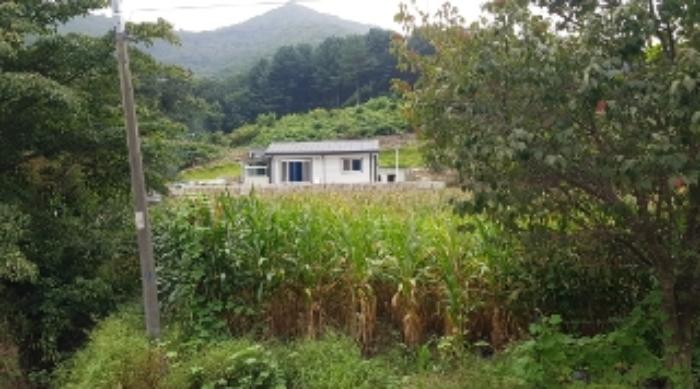 법원경매 2024타경51904 사진4 | 화천군 상서면 봉오리 임야 경매