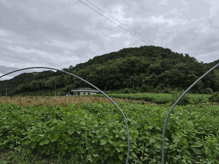 강원특별자치도 홍천군 두촌면 철정리 산56-2 법원경매 물건 대표사진
