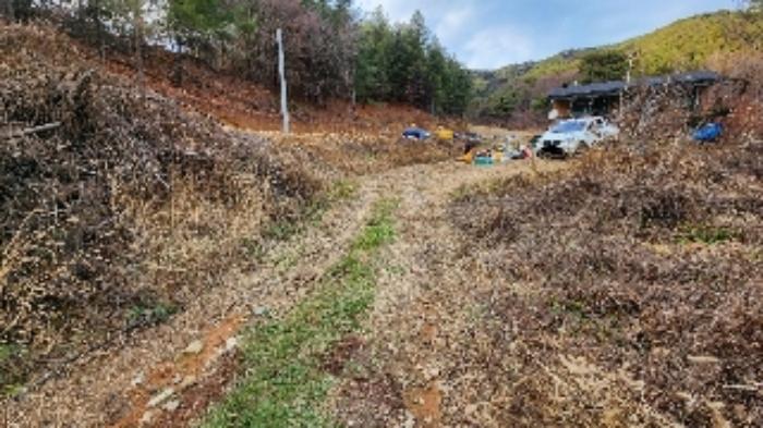 2022타경1229 법원경매 사진10 | 충북 제천시 과수원 경매