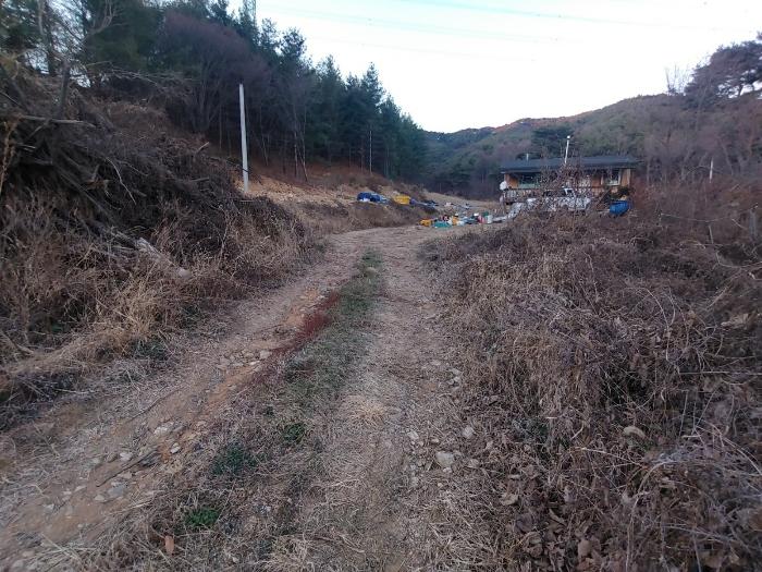 2022타경1229 법원경매 사진8 | 충북 제천시 과수원 경매