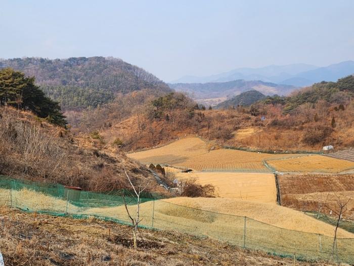 충청북도 제천시 수산면 구곡리 72-4 법원경매 물건 대표사진