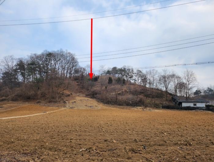 법원경매 2024타경1834 사진21 | 제천시 수산면 구곡리 72-4 임야 경매