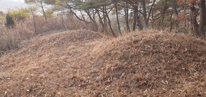 법원경매 2024타경1834 사진23 | 제천시 수산면 구곡리 72-4 임야 경매
