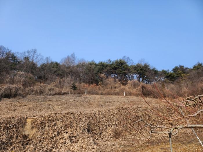 법원경매 2024타경1834 사진29 | 제천시 수산면 구곡리 72-4 임야 경매