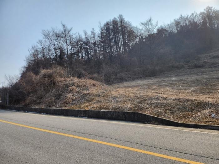 법원경매 2024타경1834 사진30 | 제천시 수산면 구곡리 72-4 임야 경매