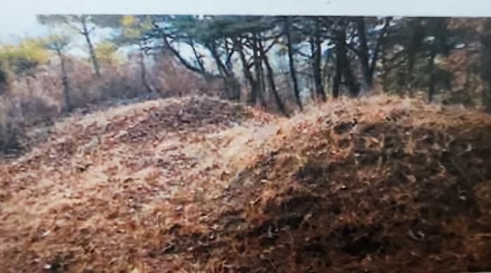 법원경매 2024타경1834 사진33 | 제천시 수산면 구곡리 72-4 임야 경매