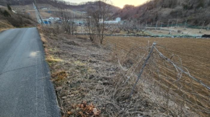 법원경매 2024타경1834 사진35 | 제천시 수산면 구곡리 72-4 임야 경매