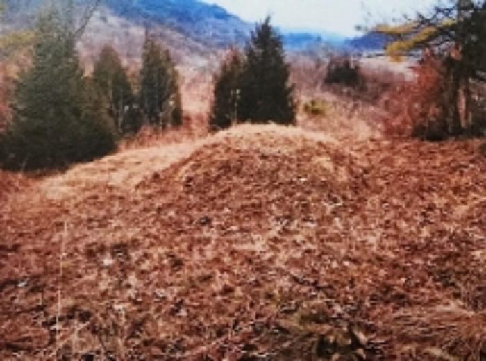 법원경매 2024타경1834 사진37 | 제천시 수산면 구곡리 72-4 임야 경매