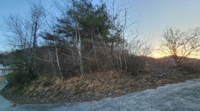 법원경매 2024타경1834 사진43 | 제천시 수산면 구곡리 72-4 임야 경매