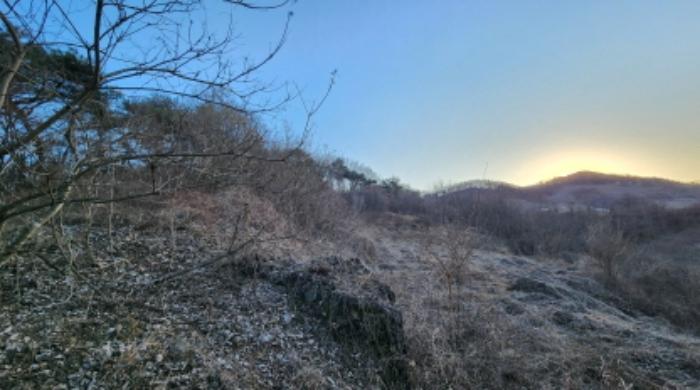 법원경매 2024타경1834 사진44 | 제천시 수산면 구곡리 72-4 임야 경매