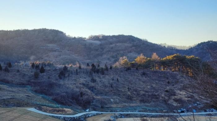 법원경매 2024타경1834 사진45 | 제천시 수산면 구곡리 72-4 임야 경매