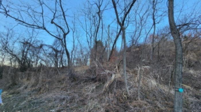 법원경매 2024타경1834 사진49 | 제천시 수산면 구곡리 72-4 임야 경매