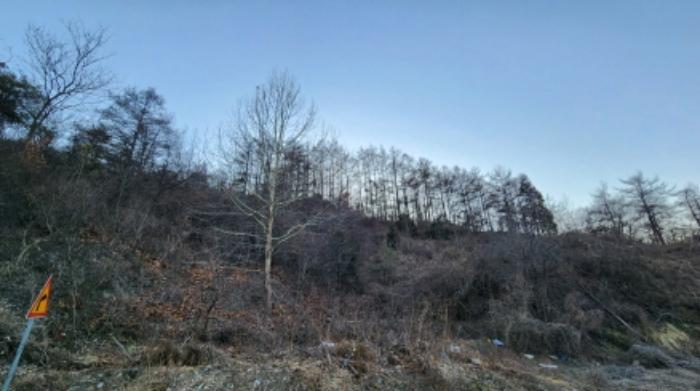 법원경매 2024타경1834 사진52 | 제천시 수산면 구곡리 72-4 임야 경매