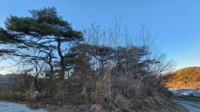 법원경매 2024타경1834 사진53 | 제천시 수산면 구곡리 72-4 임야 경매