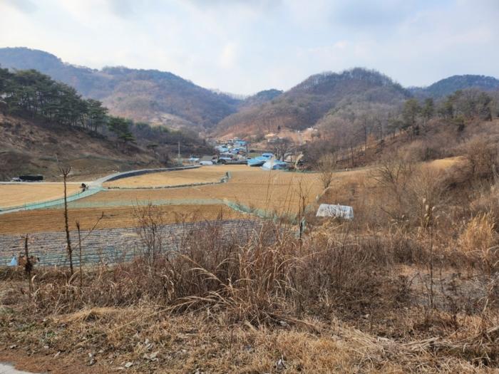 법원경매 2024타경1834 사진9 | 제천시 수산면 구곡리 72-4 임야 경매