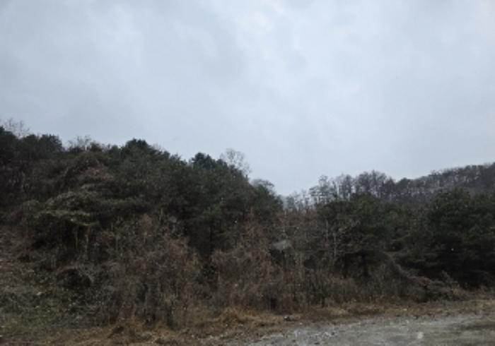 2024타경36325 법원경매 사진6 | 충북 충주시 공장 경매
