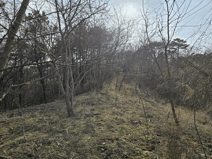 2025타경20579 법원경매 사진7 | 전북 군산시 전 경매