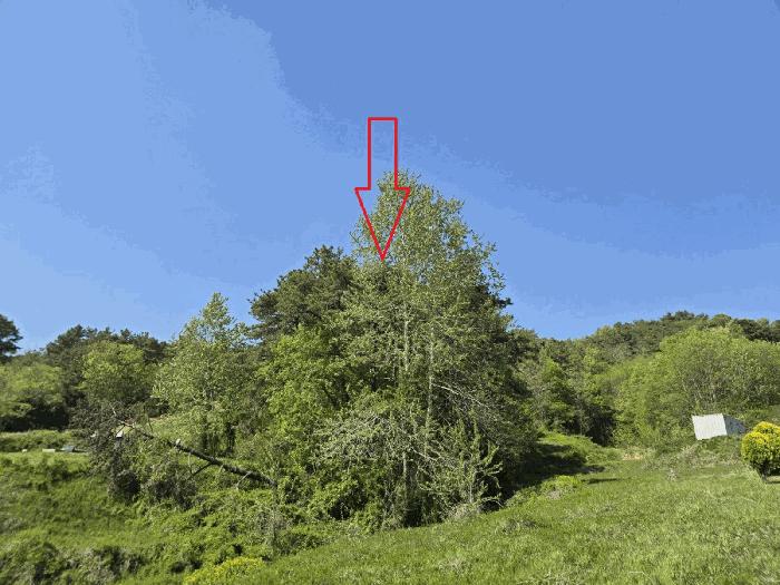 법원경매 2025타경20815 사진2 | 군산시 나포면 나포리 임야 경매