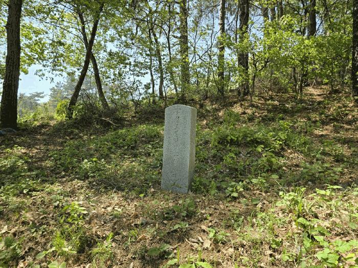 법원경매 2025타경20815 사진4 | 군산시 나포면 나포리 임야 경매