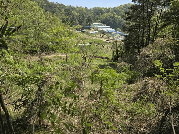 법원경매 2025타경20815 사진5 | 군산시 나포면 나포리 임야 경매