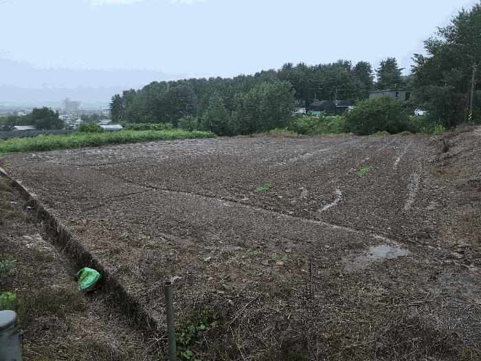 충청북도 충주시 주덕읍 신양리 380 법원경매 물건 대표사진