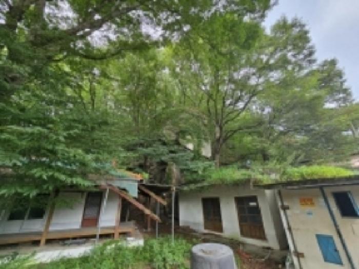 2025타경141 법원경매 사진10 | 충북 단양군 임야 경매