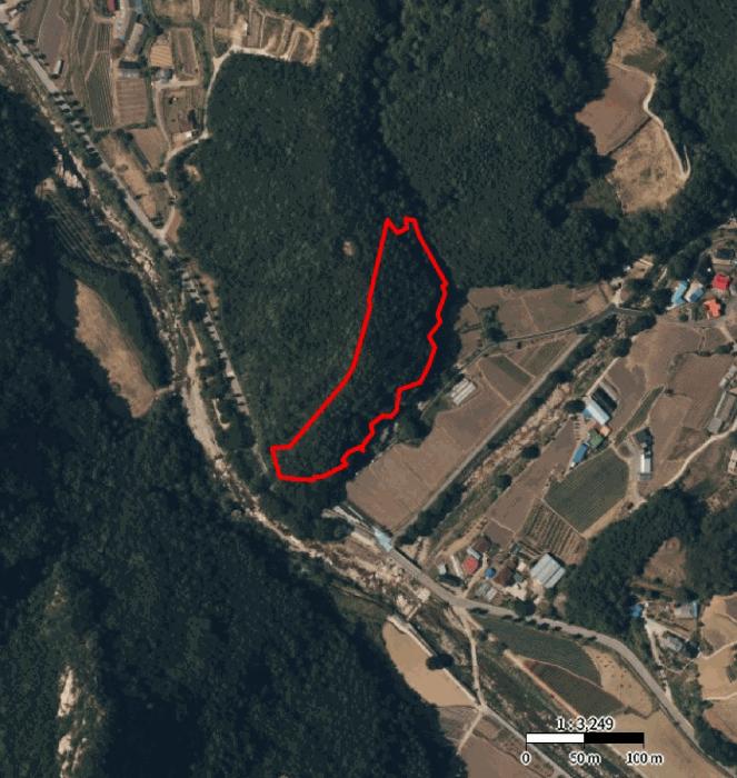 2025타경141 법원경매 사진13 | 충북 단양군 임야 경매