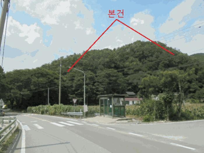 2025타경141 법원경매 사진2 | 충북 단양군 임야 경매