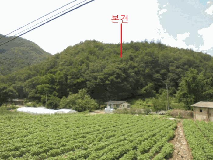 2025타경141 법원경매 사진3 | 충북 단양군 임야 경매