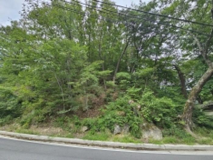2025타경141 법원경매 사진5 | 충북 단양군 임야 경매