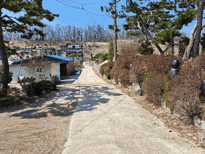 2025타경30414 법원경매 사진6 | 충북 음성군 대지,임야,전답 경매