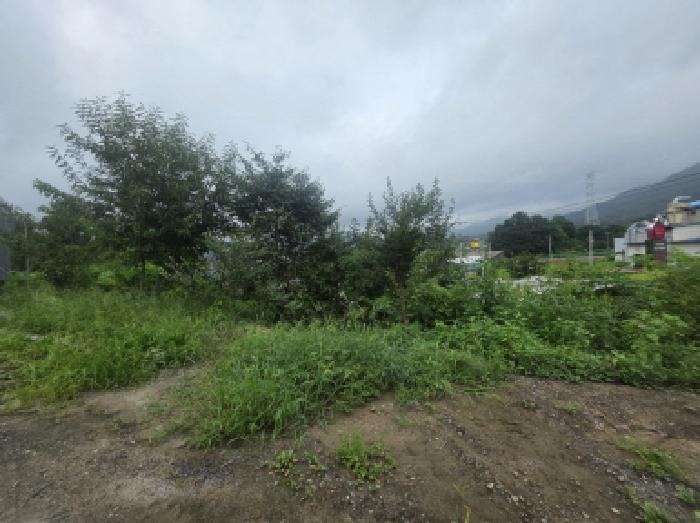 2025타경145 법원경매 사진5 | 충북 제천시 임야 경매