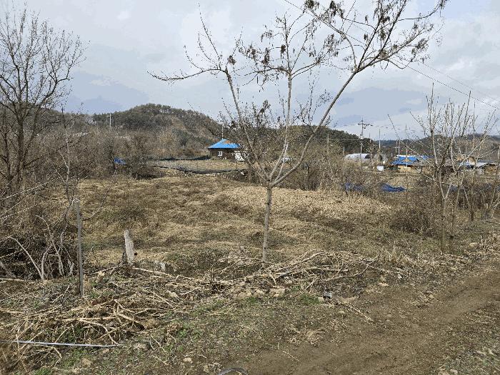 법원경매 2025타경534 사진3 | 원주시 호저면 고산리 599 전 경매