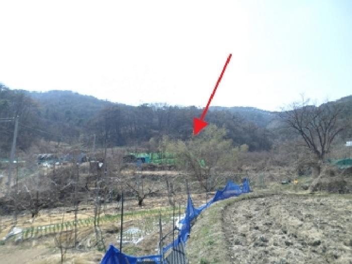 법원경매 2025타경534 사진6 | 원주시 호저면 고산리 599 전 경매