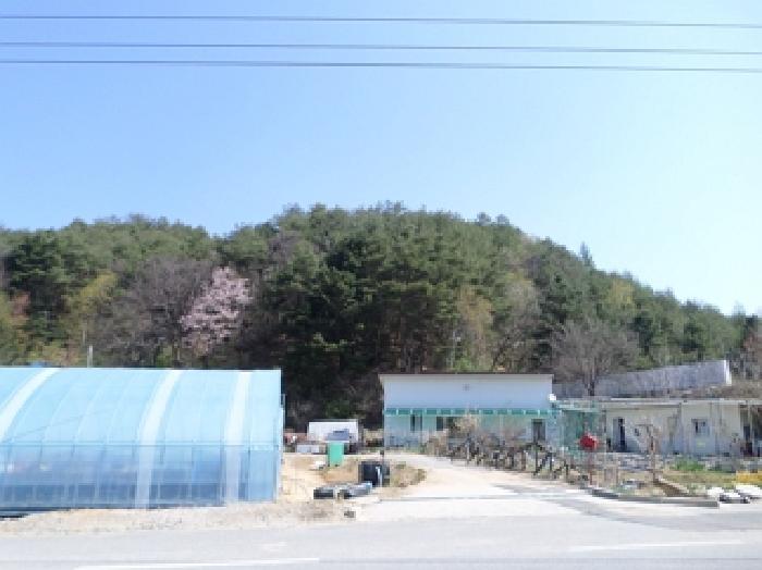 2025타경640 법원경매 사진17 | 강원 횡성군 잡종지 경매