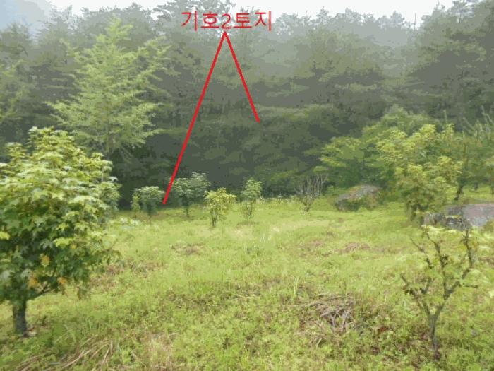 2025타경30646 법원경매 사진10 | 충북 충주시 임야 경매