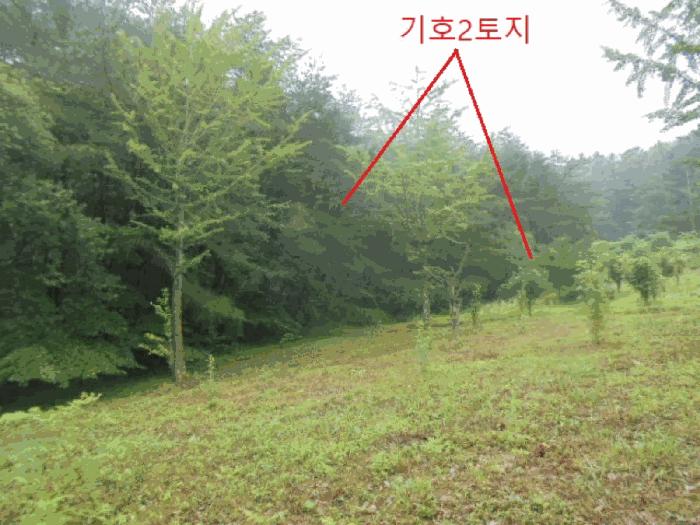 2025타경30646 법원경매 사진2 | 충북 충주시 임야 경매