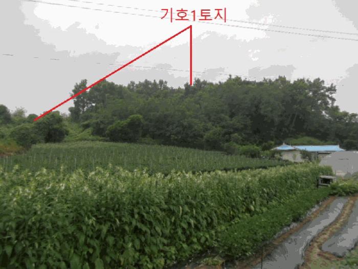 2025타경30646 법원경매 사진5 | 충북 충주시 임야 경매