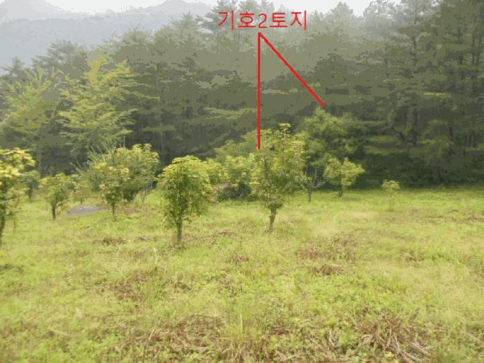 2025타경30646 법원경매 사진7 | 충북 충주시 임야 경매