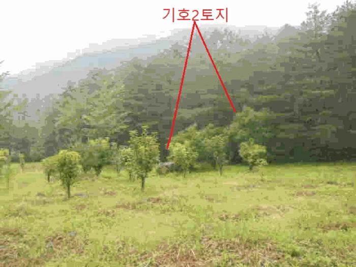 충청북도 충주시 수안보면 미륵리 6 법원경매 물건 대표사진