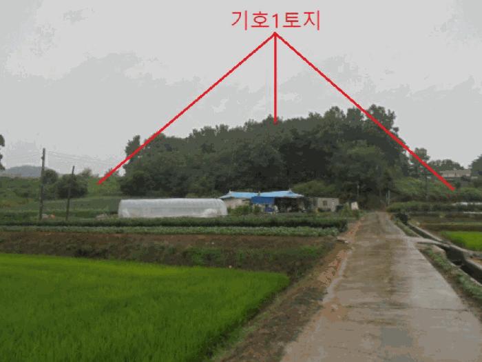 2025타경30646 법원경매 사진8 | 충북 충주시 전 경매