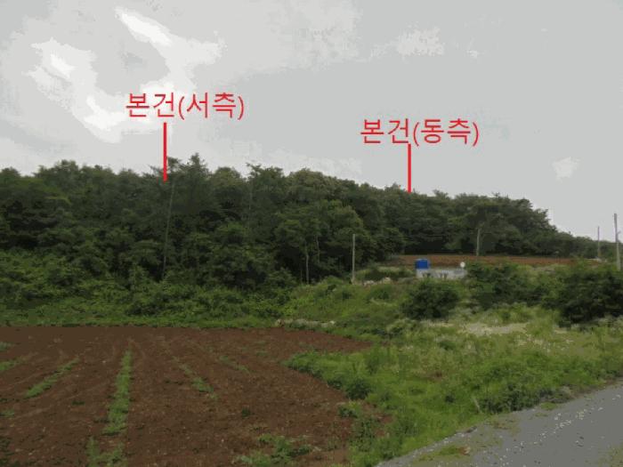 2025타경5337 법원경매 사진2 | 충북 단양군 임야 경매