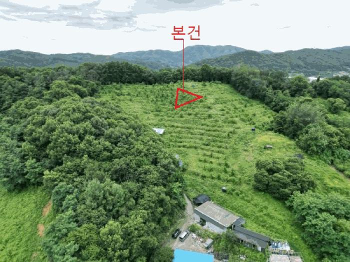 2025타경30663 법원경매 사진3 | 충북 음성군 임야 경매